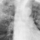 서원동-7 이미지