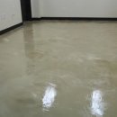 한사랑동물병원 이미지