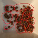 베지패밀리 | 베지패밀리 맥주효모환 실제 후기