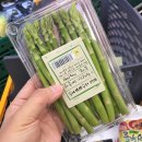 프라이빗리조트 이미지