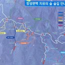 백양사 삼거리 화장실 네이버블로그