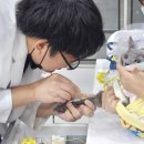 서울동물심장병원