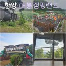 대봉사슴 이미지