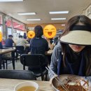 기지시 메타세콰이아 이미지