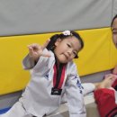 용인대삼성태권도장 이미지