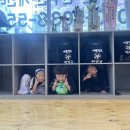 새빛검도관 이미지