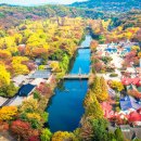 "7만 4천 평 전부 붉게 물들었어요"... 단풍 절정 맞아 전국에서 몰리는 가을 명소 이미지