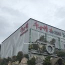 情 | 상하이 천고정쇼 上海千古情 상해 송성가무쇼 관람 후기 자유여행 예약 내돈내산 후기