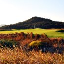 영암골프존 이미지