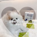 주식회사 나라펫 | 강아지 관절영양제 추천 “큐어펫” 급여 솔직후기