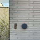 단비고집 이미지