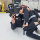 합기도주짓수블루드래곤