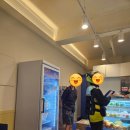[연희동] 요아정 연희점 매장 방문 후기 요거트 아이스크림의 정석 연희점 토핑 추천
