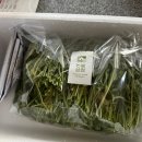 논밭상점 | 루꼴라 샌드위치 레시피 논밭 상점 와일드 루꼴라 구매 후기