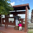 [생태체험] 명지갯벌 - 6월 1일(토) 오전 | 무안황토갯벌랜드 아이와 가볼만한곳, 캠핑장 카라반 &amp; 실내 놀거리 총정리 (9살 3살 후기)