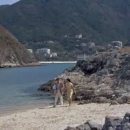 미들아일랜드(middle island) 이미지