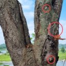 왕숙천수변공원길 이미지