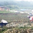 신북면사무소 이미지