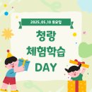 청랑태권도 이미지