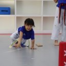 경희대 에이스태권도 이미지