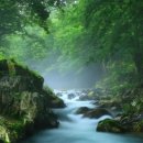 이븐데일 CC(대중제) 이미지