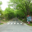 팔공산 둘레길 1구간 이미지
