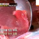 참치와연어