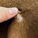 수서역정민아약국 이미지