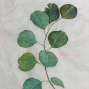 현대민화 쉽게 그리기 이미지