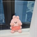 고릴라치과의원 이미지