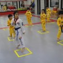 경성태권도 이미지