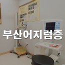 좌동순환로 301 이미지