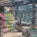 여기가명당 이미지