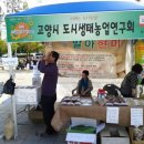 고양시도시생태농업연구회 이미지