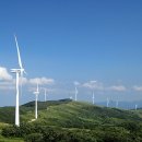 시내목장 이미지