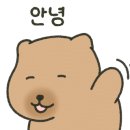 아이엔지디자인 이미지