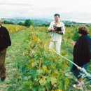 매니아스크린 이미지