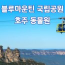 (주)킹스랜드 이미지