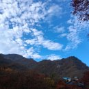 시티원부동산공인중개사사무소 이미지