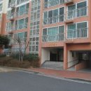 중앙동206 이미지