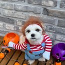 스테이 멍(STAY MUNG) 이미지