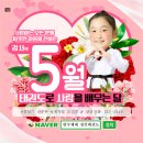 한국체대 키즈 태권도 이미지