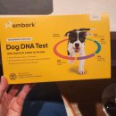 FAMILY DOG | [미국이민생활] &#34;Embark&#34; 강아지 DNA 유전자 테스트 내돈내산 후기 (완전 실망♨)