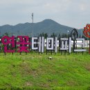 황홀한 함안연꽃테마파크의 연꽃과 가시연꽃 2017 이미지