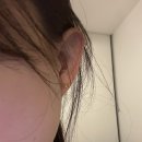 쉬즈쿡 | [호주 워홀 D+59~62] Gelatissimo 젤라또 1달러에 먹기, Doughcraft 이탈리아 식당, 위트빅스 첫 후기!!
