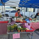 영천한우영농조합법인 이미지