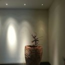 준성이네 이미지