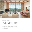 로얄쥬니어당구장 | 세이지우드 홍천 프레스티지 스위트룸 11개월 아기랑 호캉스 - 예약/가격/룸컨디션/이용안내