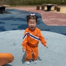 태성농장 | [4세] 새콤달콤 딸기밭으로!! 트니의 첫 딸기체험 후기