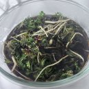 노지하우스 | 하우스와 다른 진한 향, 노지 자연산 냉이 먹어본 리얼후기